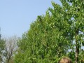 DSC03557