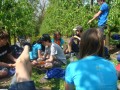 DSC03558