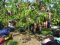 DSC03559