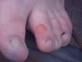 DSC03587