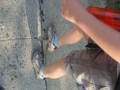 DSC03681