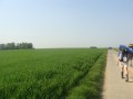 DSC03689