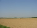DSC03690