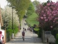 IMG_0584