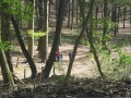 IMG_0667