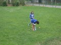 IMG_0744