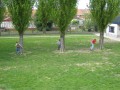 IMG_0751