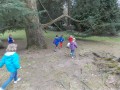 DSCN1931